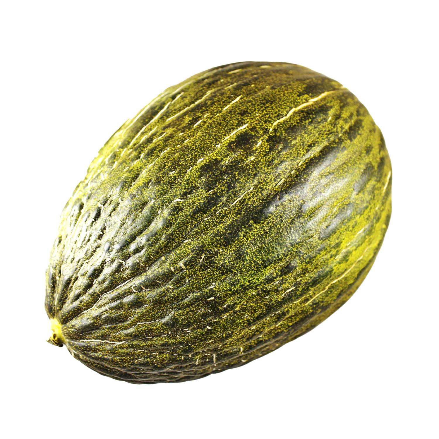 Collection 27+ Stock Images why is it called a santa claus melon Completed Collection 27+ Stock Images why is it called a santa claus melon Completed