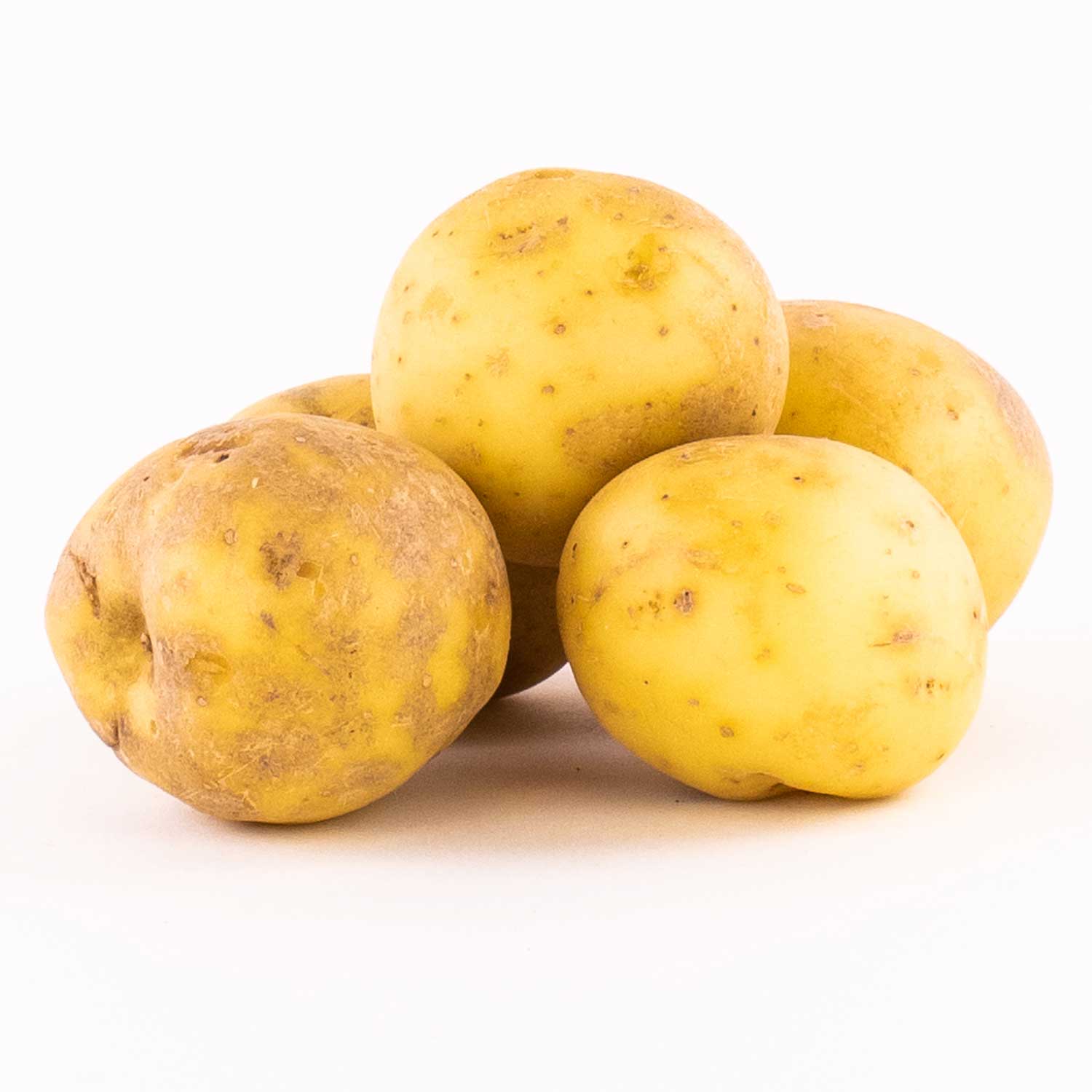 Pomme de terre Russet 5 lb Pomme de terre Mayrand