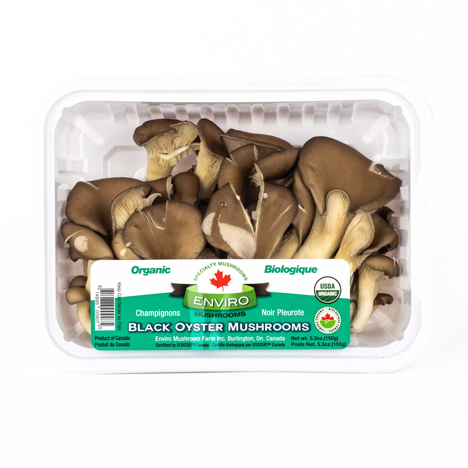 Organic Oyster Mushrooms 150 g Mushroom Mayrand