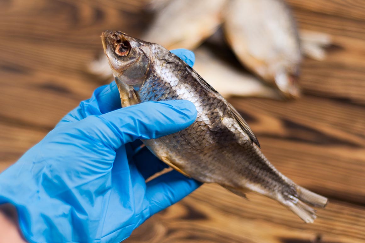 Fish Clerk | Mayrand Food Depot