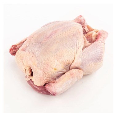 50403