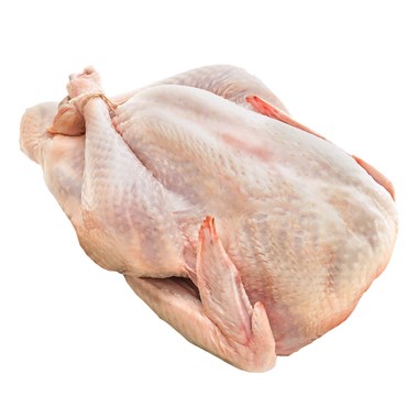 55174