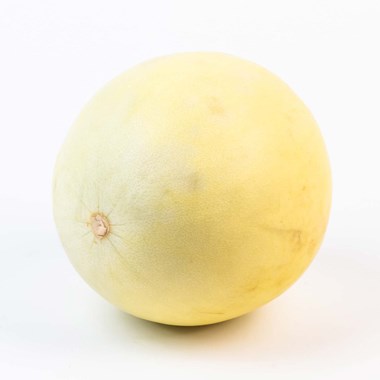 04329
