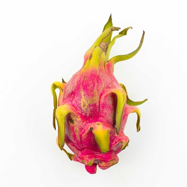 03040
