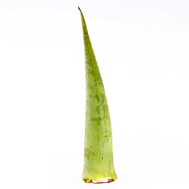 03064