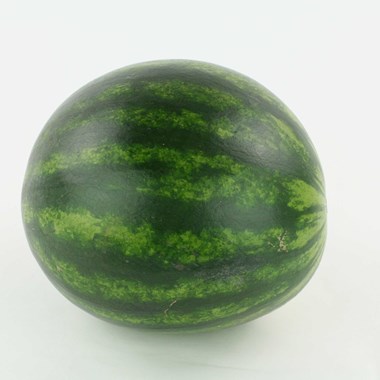 12294