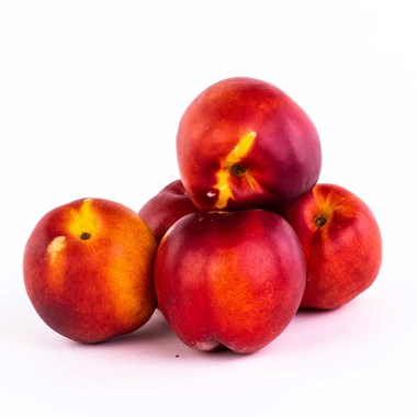 33738