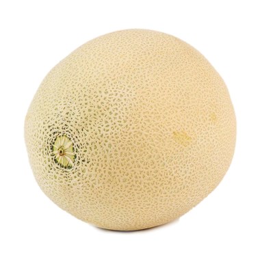 04050