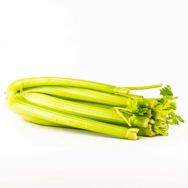 04070