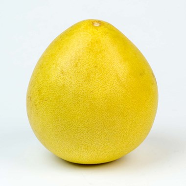 04279