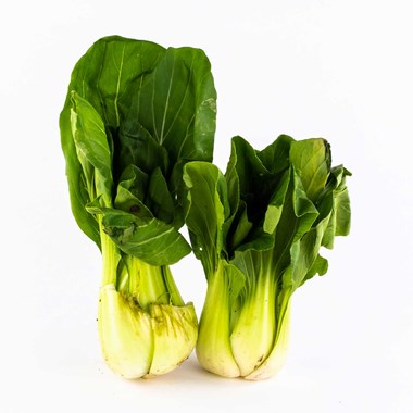 04544