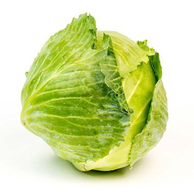 04069