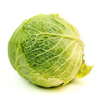 04555