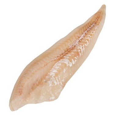 52919