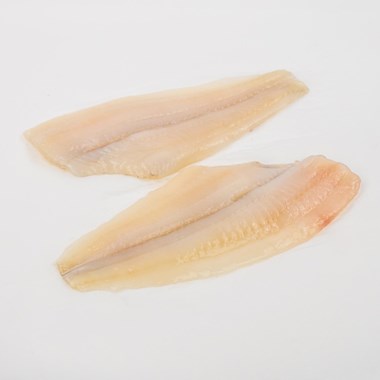 Filet avec poissons artificiels - Décoration saisonnière - Rouxel