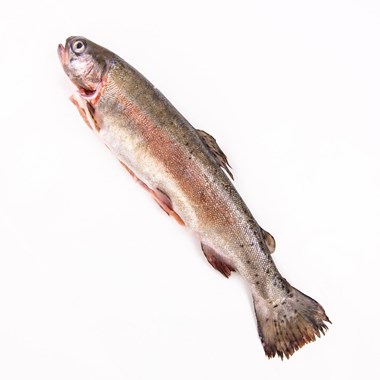 52965