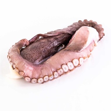 53081